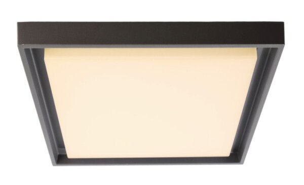 Decken- und Wandaufbauleuchte, Ascella, 30 W, 3000 K, Dunkelgrau, 220-240 V/AC, 50 / 60 Hz, IP 54