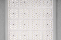 EIONLED ECO25 COBROBA C9 LED-Straßenleuchte Premium ENEC H1 L800xB320xH127mm 195 Watt 4000K 150lm/W ASY70155