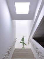 Einlegepanel, Pro Office 625x625 mm, 17 W, 4000 K, Weiß, Stromkonstant, 35-40 V/DC, Bemessungsstrom: