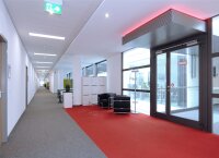 Einlegepanel, Standard Flex 300x1200 mm, 36 W,...