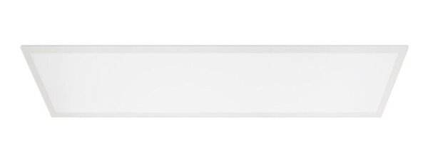 Einlegepanel, Basic 300x1200 mm, 30,5 W, 4000 K, Weiß, 220-240 V/AC, IP 40