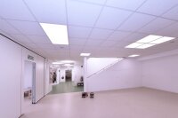 Einlegepanel, Basic 300x1200 mm, 30,5 W, 4000 K, Weiß, 220-240 V/AC, IP 40