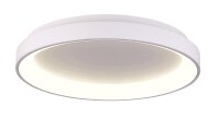 Deckenaufbauleuchte, Merope 400, 30 W, DIM, 3000/4000 K, Weiß, 220-240 V/AC, 50 / 60 Hz, IP 20