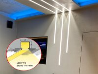 L20 T18 Alu Einputz-Profil H2,06XB5,3XL200cm incl. matte...