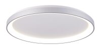 Deckenaufbauleuchte, Merope 600, 42 W, DIM, 3000/4000 K, Silber, 220-240 V/AC, 50 / 60 Hz, IP 20